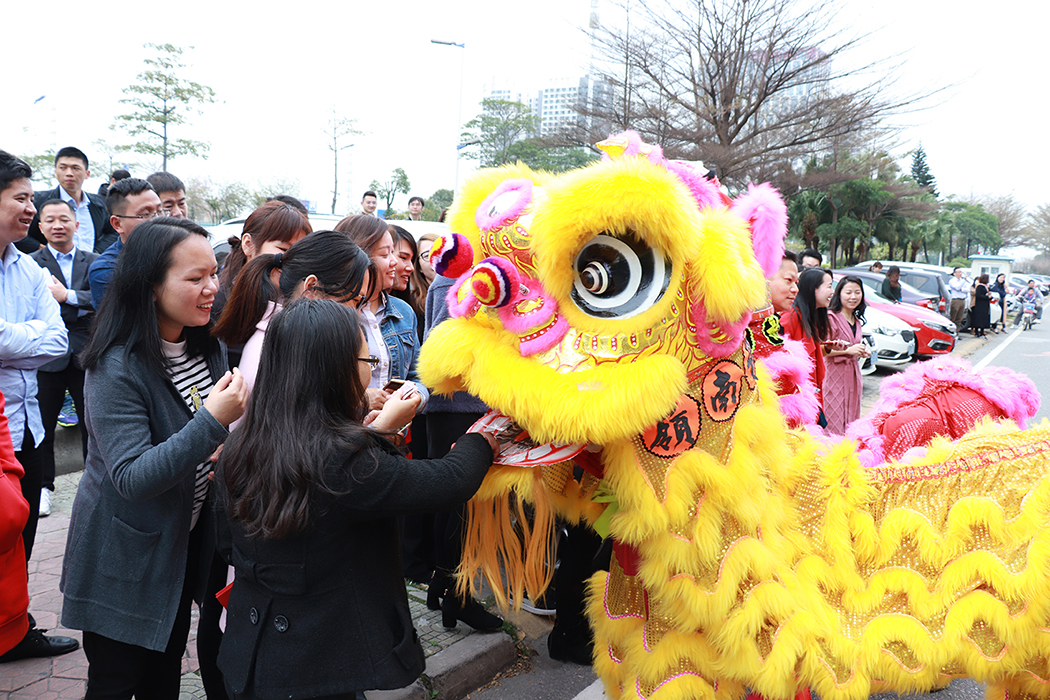 香港免费公开资料大全